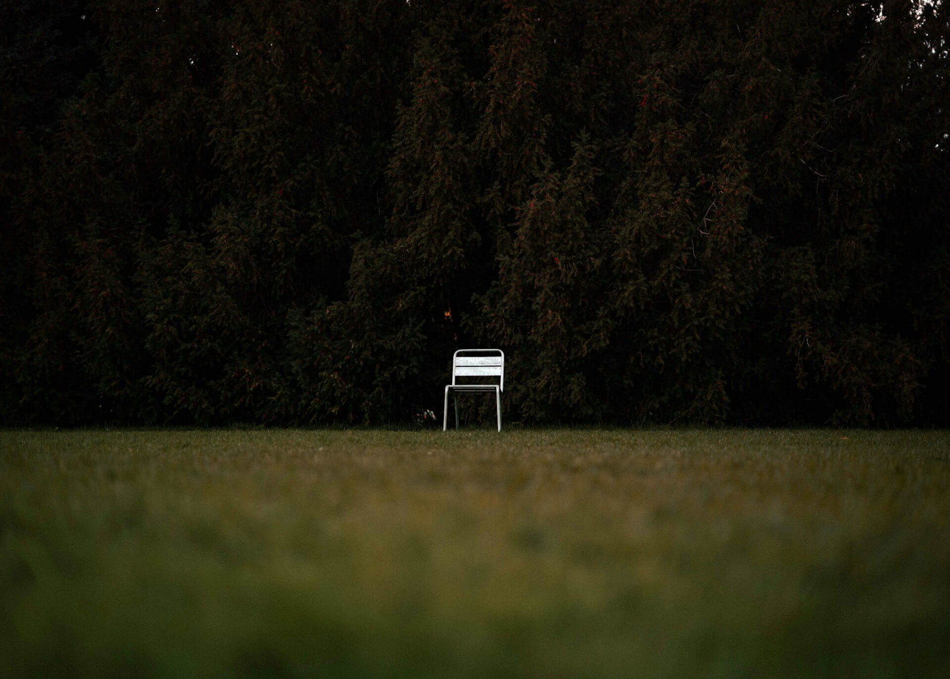 Alasan yang sesungguhnya